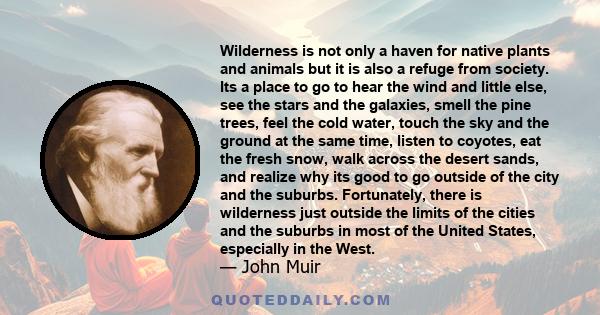 Wilderness is not only a haven for native plants and animals but it is also a refuge from society. Its a place to go to hear the wind and little else, see the stars and the galaxies, smell the pine trees, feel the cold