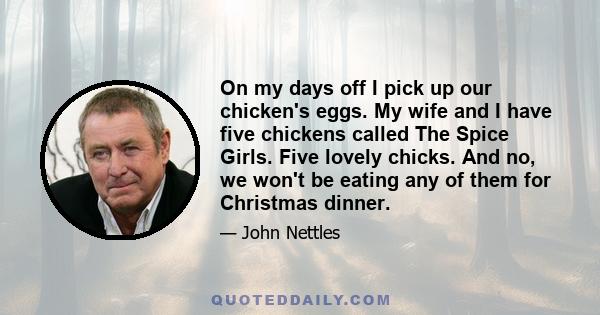 On my days off I pick up our chicken's eggs. My wife and I have five chickens called The Spice Girls. Five lovely chicks. And no, we won't be eating any of them for Christmas dinner.