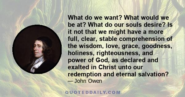 What do we want? What would we be at? What do our souls desire? Is it not that we might have a more full, clear, stable comprehension of the wisdom, love, grace, goodness, holiness, righteousness, and power of God, as