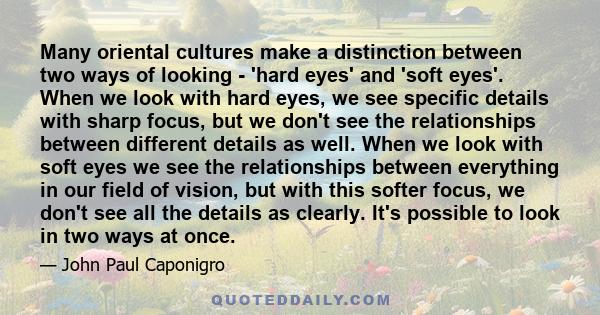 Many oriental cultures make a distinction between two ways of looking - 'hard eyes' and 'soft eyes'. When we look with hard eyes, we see specific details with sharp focus, but we don't see the relationships between