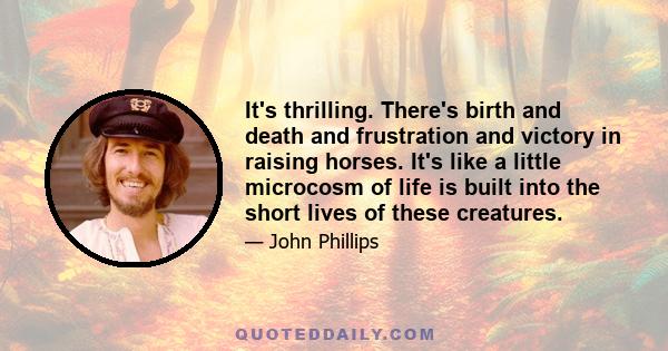 It's thrilling. There's birth and death and frustration and victory in raising horses. It's like a little microcosm of life is built into the short lives of these creatures.