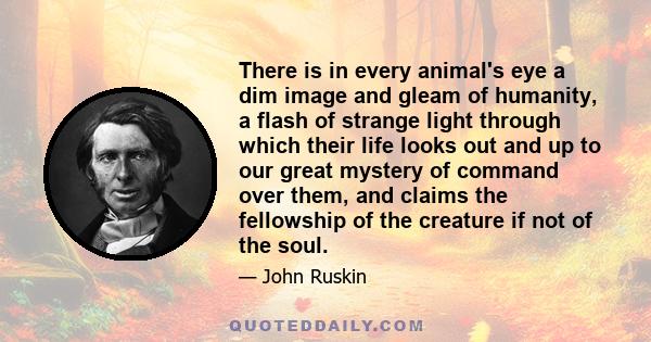 There is in every animal's eye a dim image and gleam of humanity, a flash of strange light through which their life looks out and up to our great mystery of command over them, and claims the fellowship of the creature