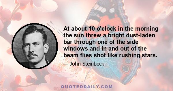 At about 10 o'clock in the morning the sun threw a bright dust-laden bar through one of the side windows and in and out of the beam flies shot like rushing stars.