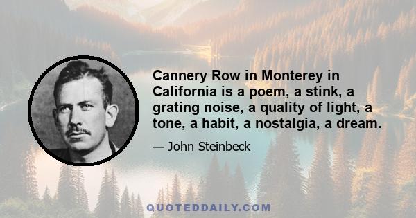 Cannery Row in Monterey in California is a poem, a stink, a grating noise, a quality of light, a tone, a habit, a nostalgia, a dream.