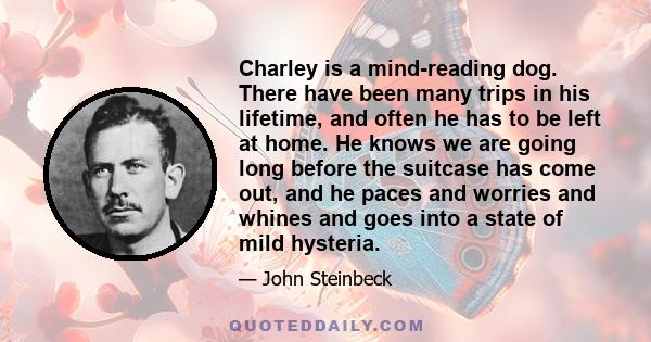 Charley is a mind-reading dog. There have been many trips in his lifetime, and often he has to be left at home. He knows we are going long before the suitcase has come out, and he paces and worries and whines and goes