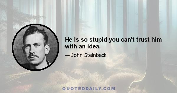 He is so stupid you can't trust him with an idea.