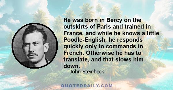 He was born in Bercy on the outskirts of Paris and trained in France, and while he knows a little Poodle-English, he responds quickly only to commands in French. Otherwise he has to translate, and that slows him down.