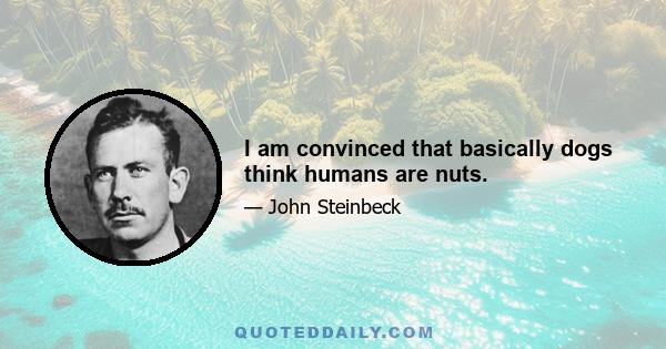 I am convinced that basically dogs think humans are nuts.