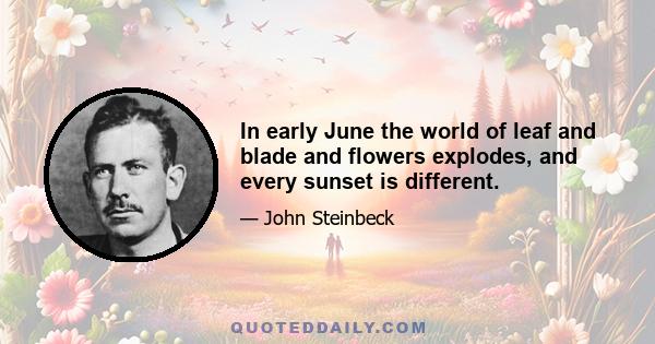 In early June the world of leaf and blade and flowers explodes, and every sunset is different.