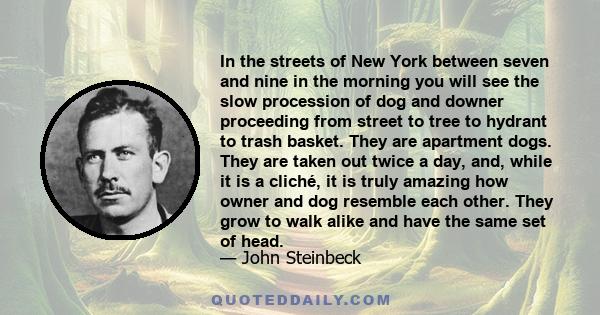 In the streets of New York between seven and nine in the morning you will see the slow procession of dog and downer proceeding from street to tree to hydrant to trash basket. They are apartment dogs. They are taken out