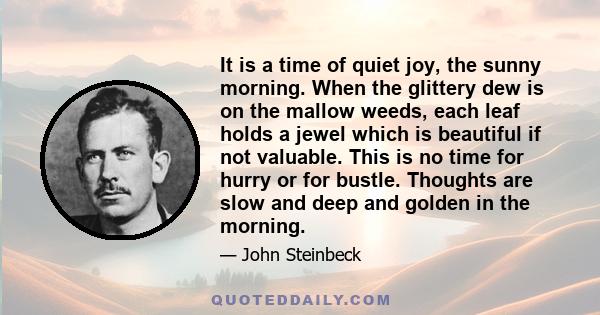 It is a time of quiet joy, the sunny morning. When the glittery dew is on the mallow weeds, each leaf holds a jewel which is beautiful if not valuable. This is no time for hurry or for bustle. Thoughts are slow and deep 