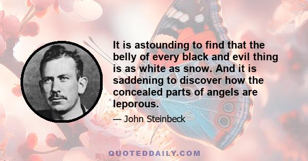 It is astounding to find that the belly of every black and evil thing is as white as snow. And it is saddening to discover how the concealed parts of angels are leporous.