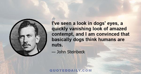 I've seen a look in dogs' eyes, a quickly vanishing look of amazed contempt, and I am convinced that basically dogs think humans are nuts.