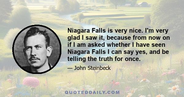 Niagara Falls is very nice. I'm very glad I saw it, because from now on if I am asked whether I have seen Niagara Falls I can say yes, and be telling the truth for once.