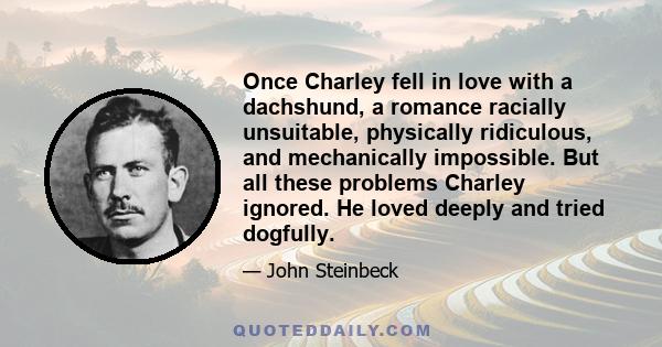 Once Charley fell in love with a dachshund, a romance racially unsuitable, physically ridiculous, and mechanically impossible. But all these problems Charley ignored. He loved deeply and tried dogfully.