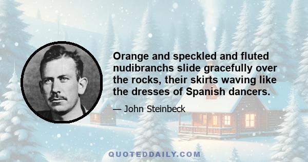 Orange and speckled and fluted nudibranchs slide gracefully over the rocks, their skirts waving like the dresses of Spanish dancers.