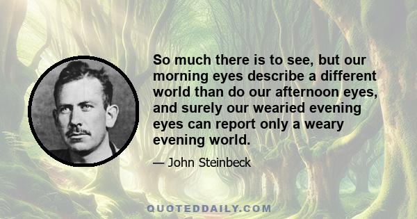 So much there is to see, but our morning eyes describe a different world than do our afternoon eyes, and surely our wearied evening eyes can report only a weary evening world.