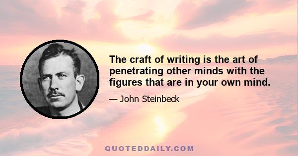 The craft of writing is the art of penetrating other minds with the figures that are in your own mind.