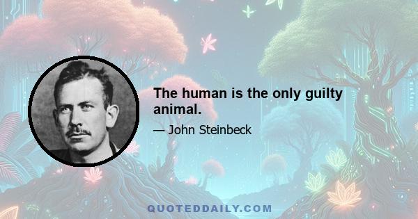 The human is the only guilty animal.