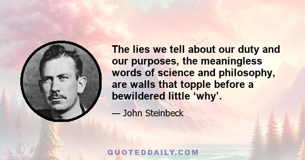 The lies we tell about our duty and our purposes, the meaningless words of science and philosophy, are walls that topple before a bewildered little ‘why’.