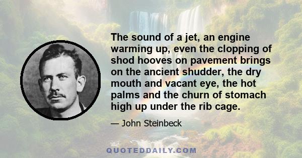 The sound of a jet, an engine warming up, even the clopping of shod hooves on pavement brings on the ancient shudder, the dry mouth and vacant eye, the hot palms and the churn of stomach high up under the rib cage.