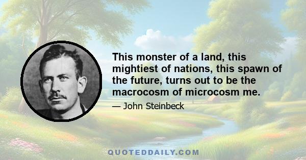 This monster of a land, this mightiest of nations, this spawn of the future, turns out to be the macrocosm of microcosm me.