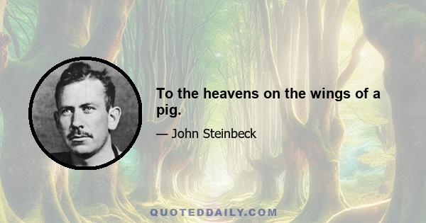 To the heavens on the wings of a pig.