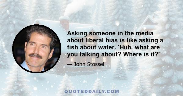 Asking someone in the media about liberal bias is like asking a fish about water. 'Huh, what are you talking about? Where is it?'