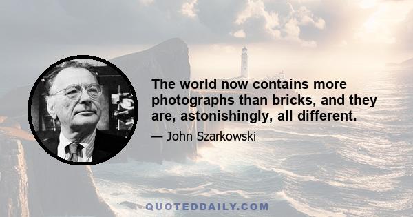 The world now contains more photographs than bricks, and they are, astonishingly, all different.