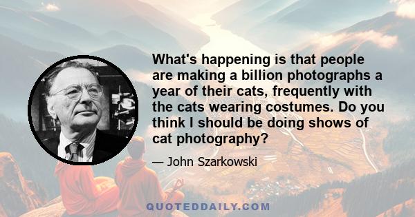 What's happening is that people are making a billion photographs a year of their cats, frequently with the cats wearing costumes. Do you think I should be doing shows of cat photography?