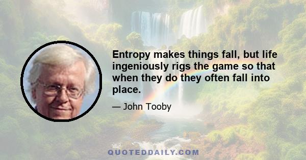 Entropy makes things fall, but life ingeniously rigs the game so that when they do they often fall into place.