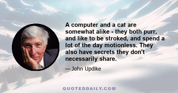 A computer and a cat are somewhat alike - they both purr, and like to be stroked, and spend a lot of the day motionless. They also have secrets they don't necessarily share.