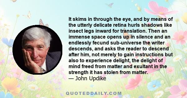 It skims in through the eye, and by means of the utterly delicate retina hurls shadows like insect legs inward for translation. Then an immense space opens up in silence and an endlessly fecund sub-universe the writer