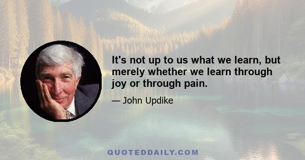 It's not up to us what we learn, but merely whether we learn through joy or through pain.