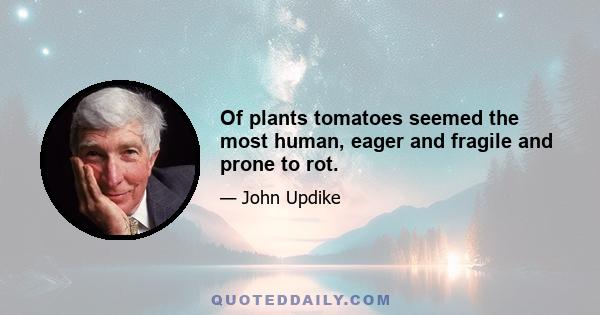 Of plants tomatoes seemed the most human, eager and fragile and prone to rot.