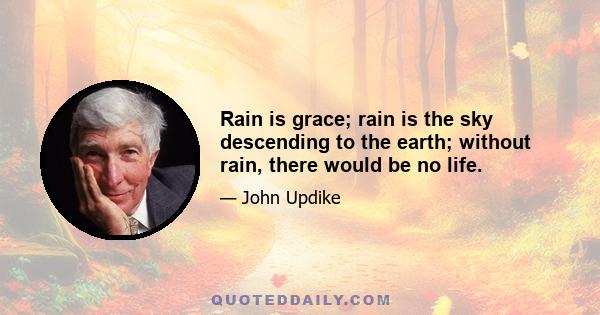 Rain is grace; rain is the sky descending to the earth; without rain, there would be no life.