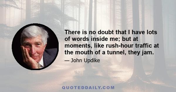 There is no doubt that I have lots of words inside me; but at moments, like rush-hour traffic at the mouth of a tunnel, they jam.