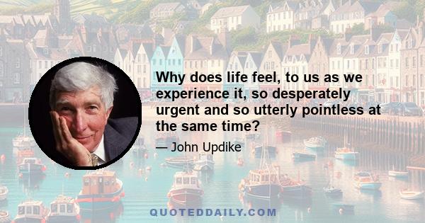 Why does life feel, to us as we experience it, so desperately urgent and so utterly pointless at the same time?