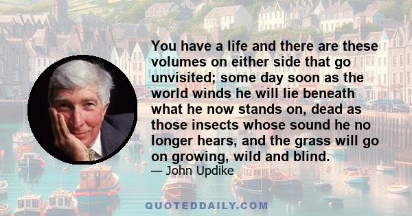 You have a life and there are these volumes on either side that go unvisited; some day soon as the world winds he will lie beneath what he now stands on, dead as those insects whose sound he no longer hears, and the