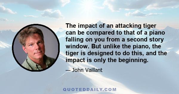 The impact of an attacking tiger can be compared to that of a piano falling on you from a second story window. But unlike the piano, the tiger is designed to do this, and the impact is only the beginning.