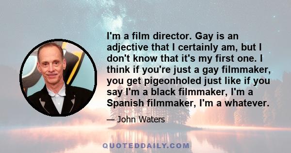 I'm a film director. Gay is an adjective that I certainly am, but I don't know that it's my first one. I think if you're just a gay filmmaker, you get pigeonholed just like if you say I'm a black filmmaker, I'm a