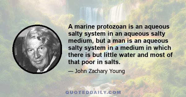 A marine protozoan is an aqueous salty system in an aqueous salty medium, but a man is an aqueous salty system in a medium in which there is but little water and most of that poor in salts.