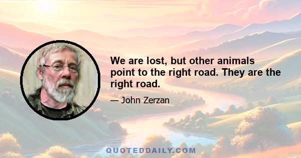 We are lost, but other animals point to the right road. They are the right road.