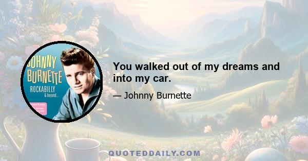 You walked out of my dreams and into my car.