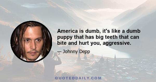 America is dumb, it's like a dumb puppy that has big teeth that can bite and hurt you, aggressive.