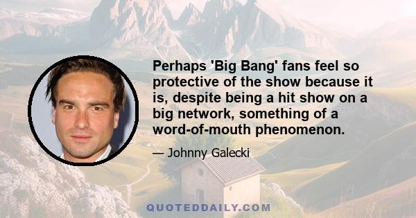 Perhaps 'Big Bang' fans feel so protective of the show because it is, despite being a hit show on a big network, something of a word-of-mouth phenomenon.