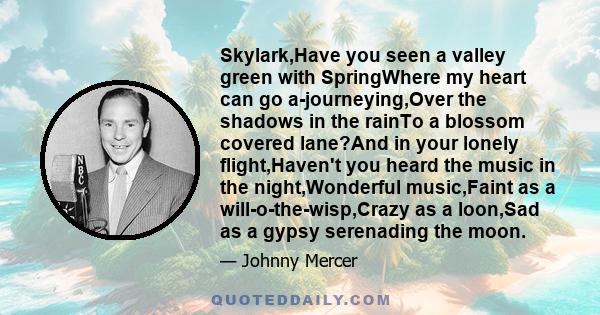 Skylark,Have you seen a valley green with SpringWhere my heart can go a-journeying,Over the shadows in the rainTo a blossom covered lane?And in your lonely flight,Haven't you heard the music in the night,Wonderful