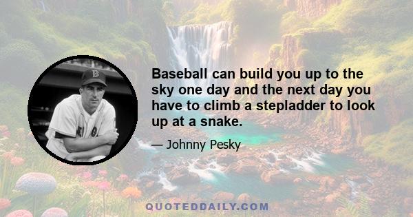 Baseball can build you up to the sky one day and the next day you have to climb a stepladder to look up at a snake.