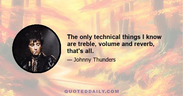 The only technical things I know are treble, volume and reverb, that's all.