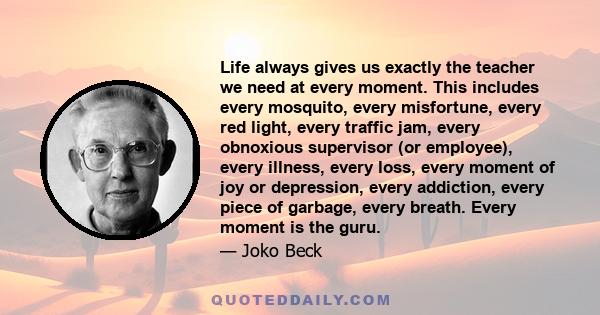 Life always gives us exactly the teacher we need at every moment. This includes every mosquito, every misfortune, every red light, every traffic jam, every obnoxious supervisor (or employee), every illness, every loss,